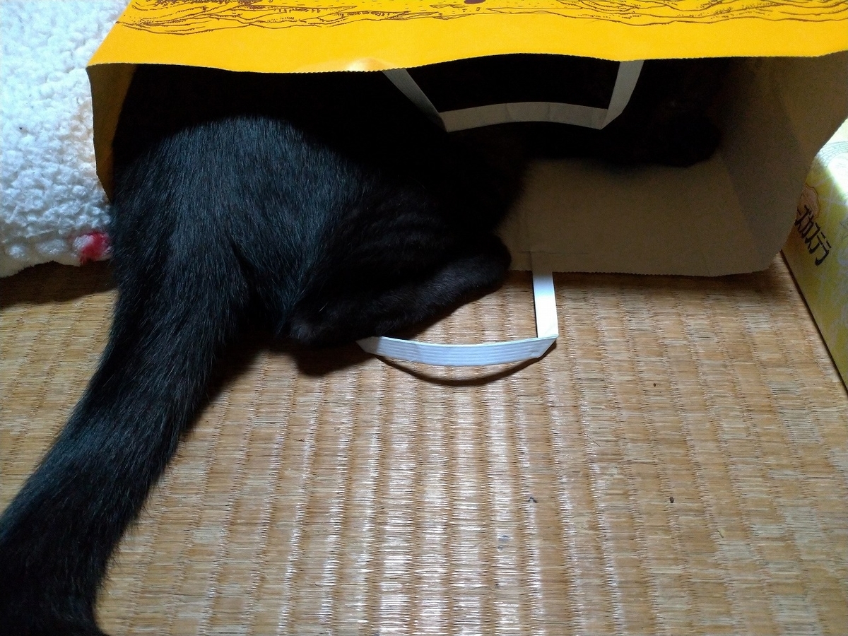 f:id:Harufuku:20191126120901j:plain