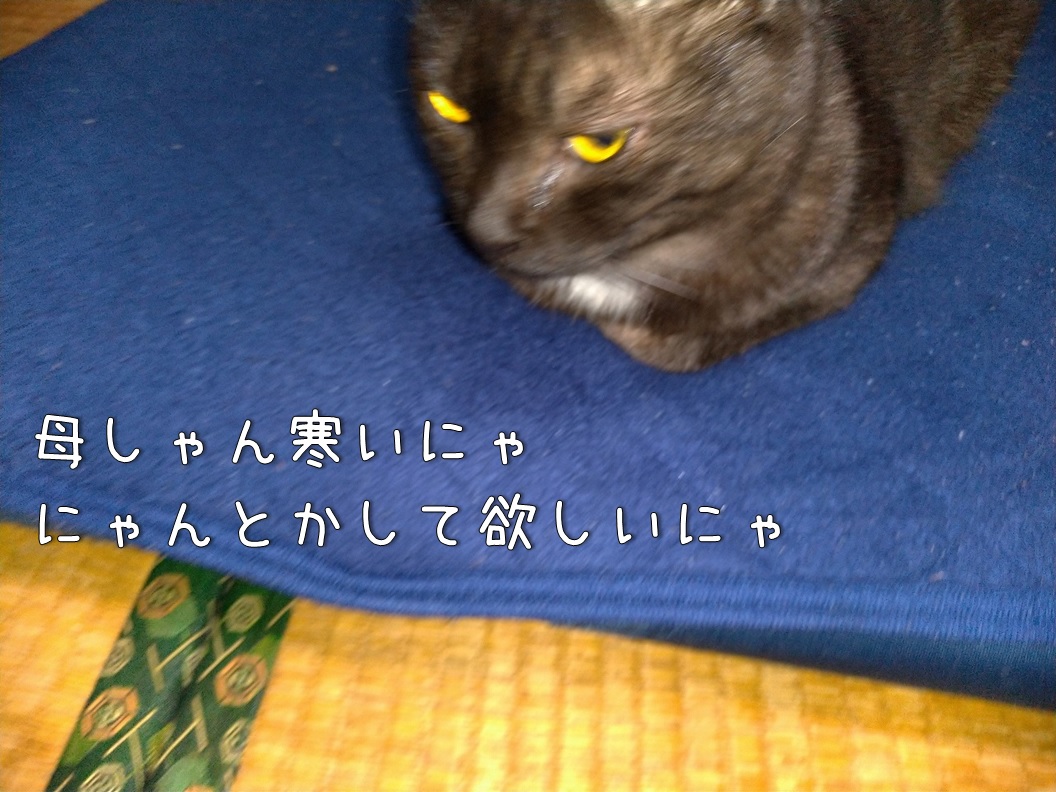 f:id:Harufuku:20191203120606j:plain