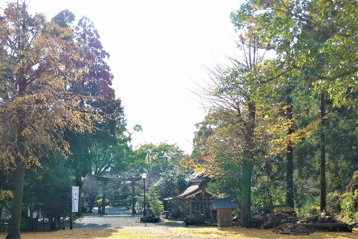 f:id:Harufuku:20191216155019j:plain f:id:Harufuku:20191216155019j:plain