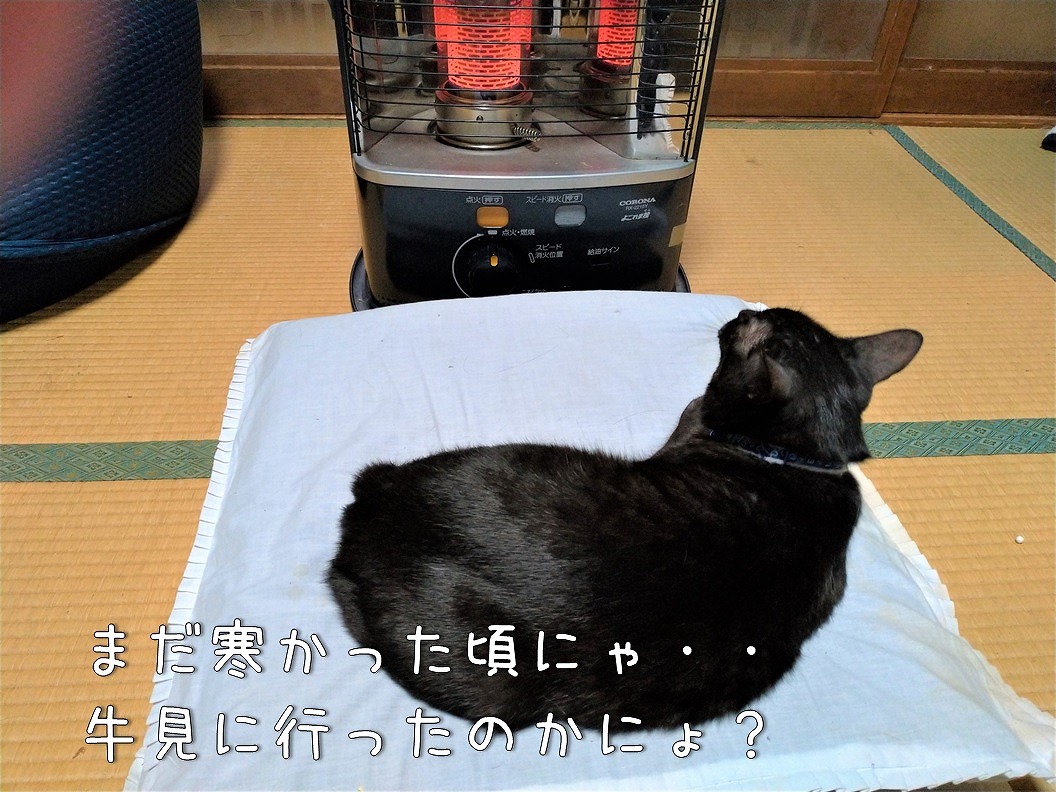f:id:Harufuku:20191219172438j:plain
