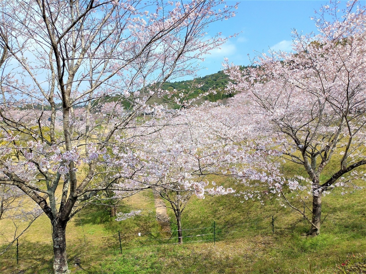 f:id:Harufuku:20191220135904j:plain f:id:Harufuku:20191220135904j:plain