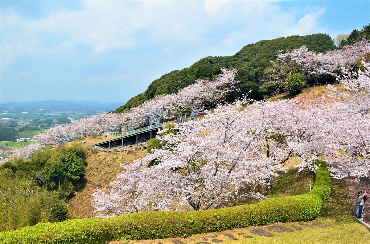 f:id:Harufuku:20191220140023j:plain f:id:Harufuku:20191220140023j:plain