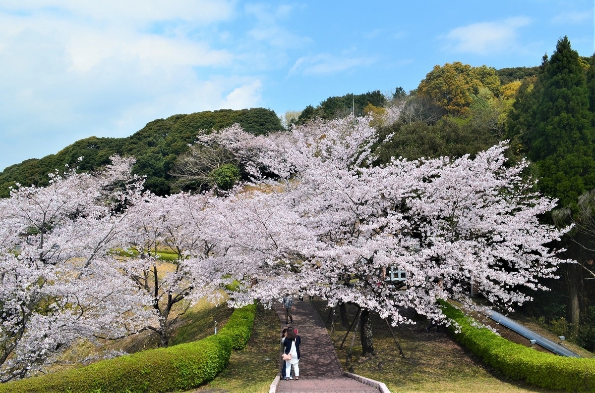 f:id:Harufuku:20191220140135j:plain f:id:Harufuku:20191220140135j:plain