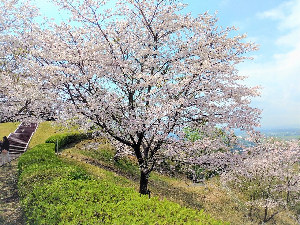 f:id:Harufuku:20191220141255j:plain f:id:Harufuku:20191220141255j:plain