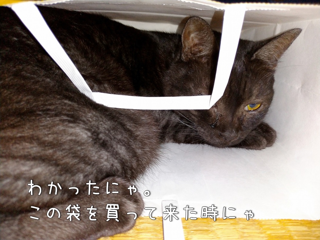 f:id:Harufuku:20200120131312j:plain f:id:Harufuku:20200120131312j:plain