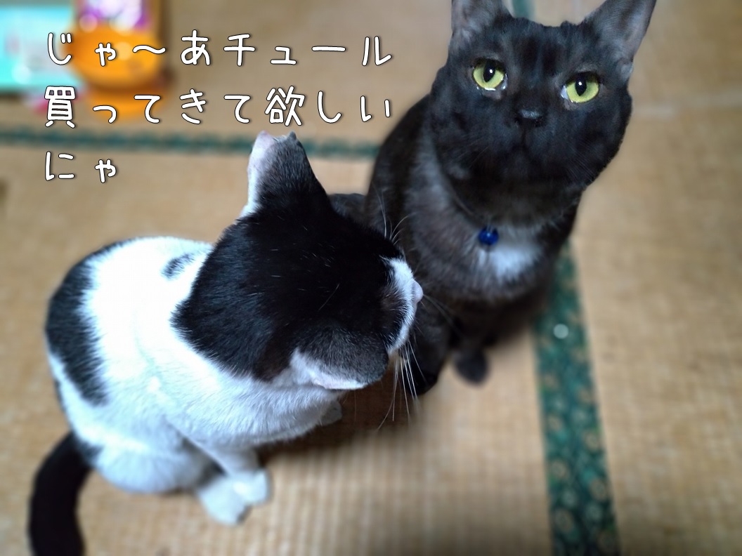 f:id:Harufuku:20200130162233j:plain