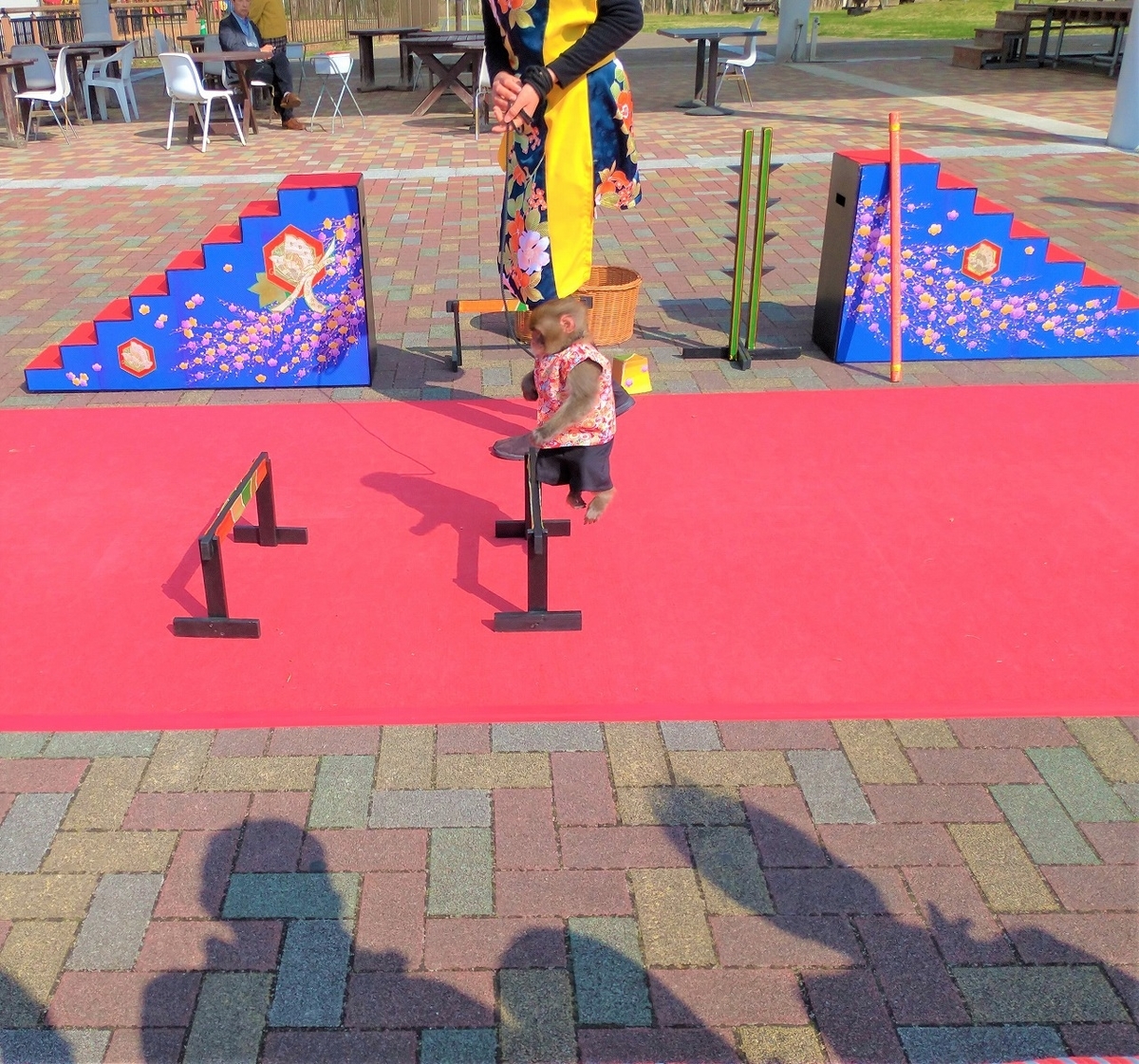 f:id:Harufuku:20200201213509j:plain