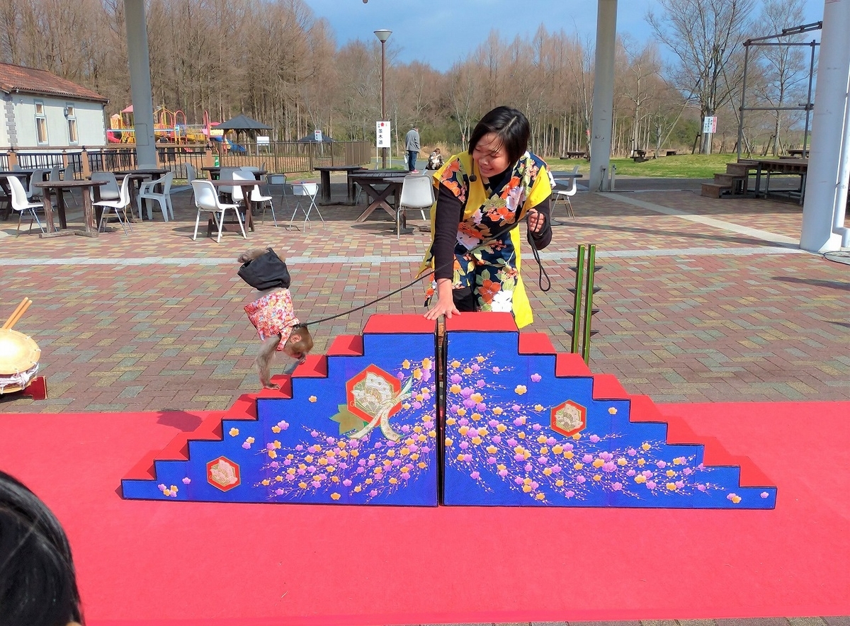 f:id:Harufuku:20200201213540j:plain