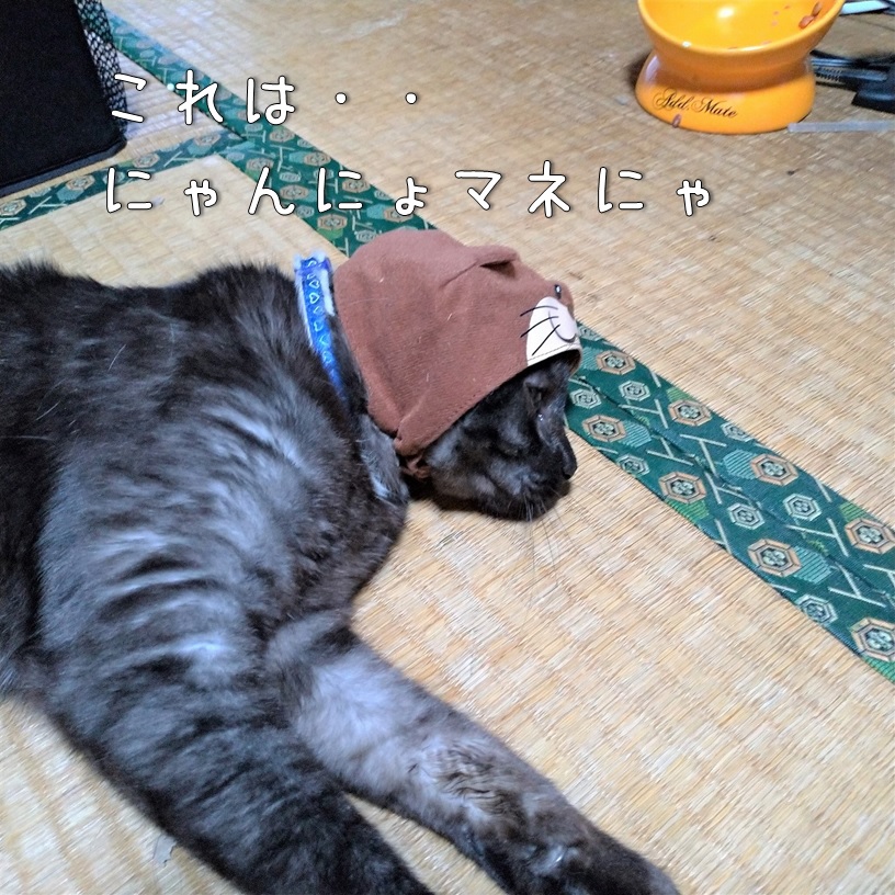 f:id:Harufuku:20200221110309j:plain