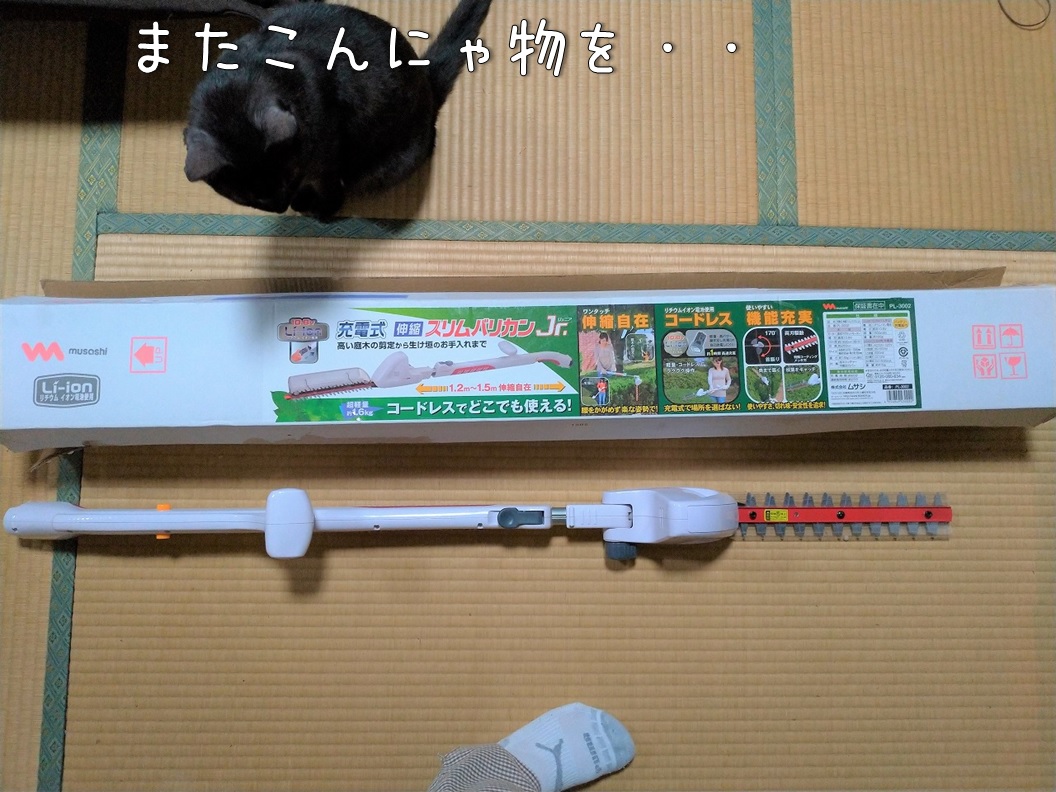 f:id:Harufuku:20200312105205j:plain