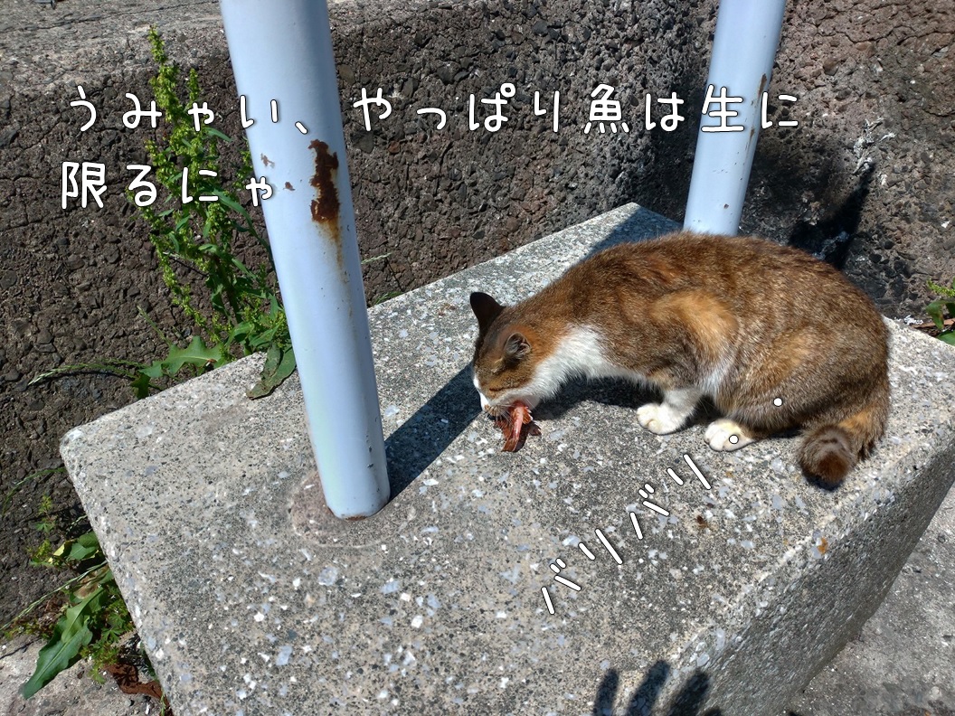 f:id:Harufuku:20200427113506j:plain f:id:Harufuku:20200427113506j:plain