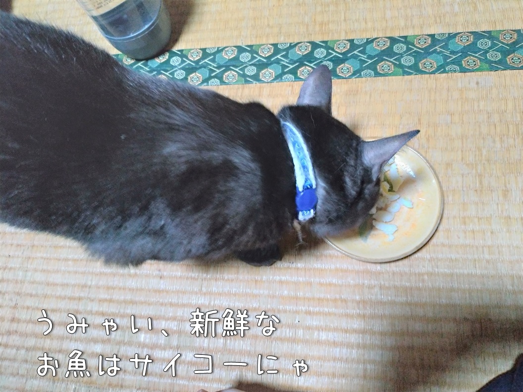 f:id:Harufuku:20200427115217j:plain f:id:Harufuku:20200427115217j:plain