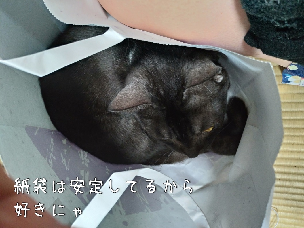 f:id:Harufuku:20200430151625j:plain