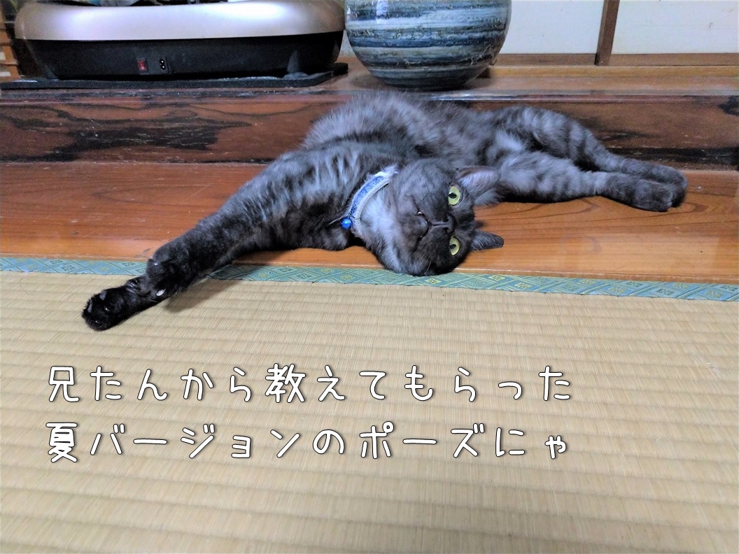 f:id:Harufuku:20200619113724j:plain