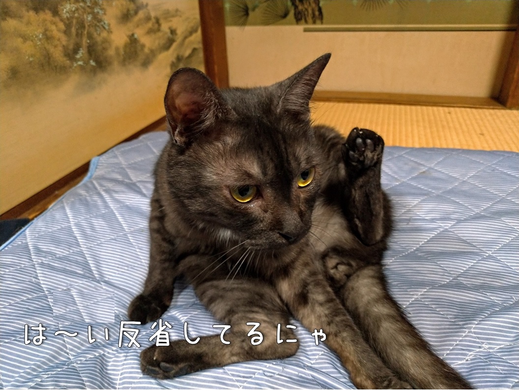 f:id:Harufuku:20200710111421j:plain