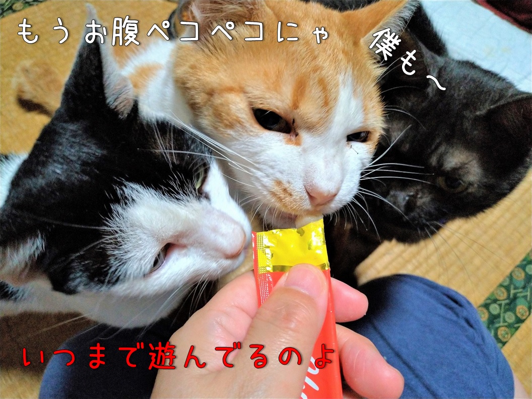 f:id:Harufuku:20200721100055j:plain