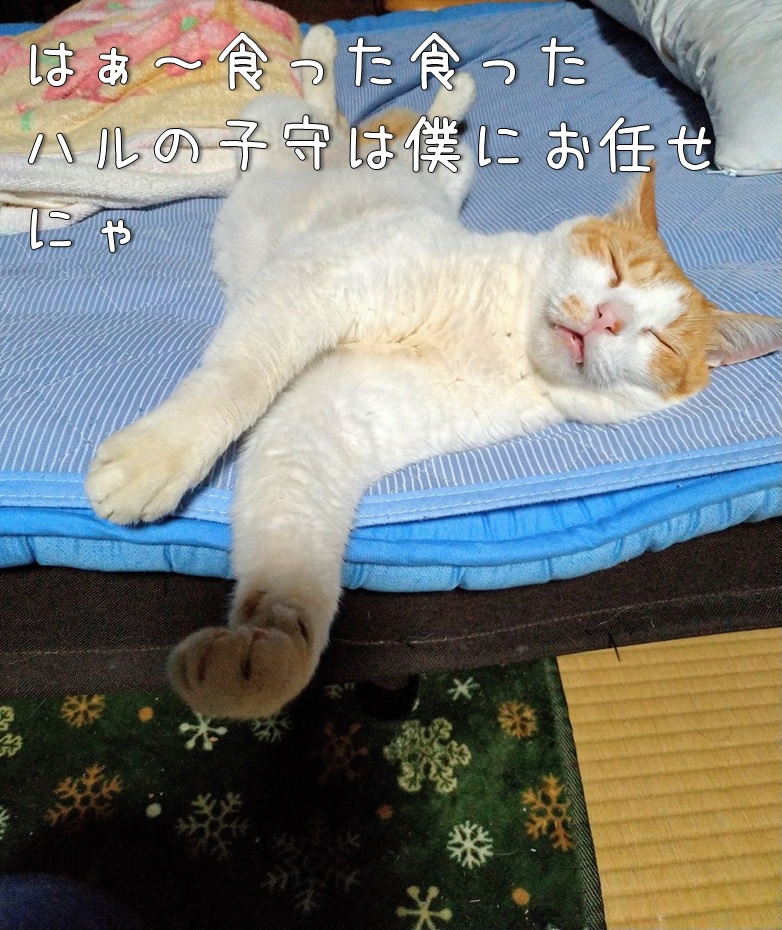 f:id:Harufuku:20200721100203j:plain