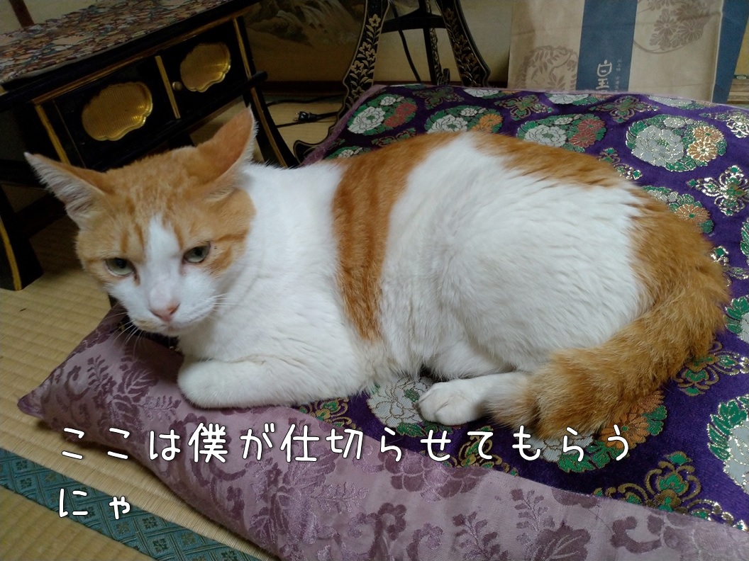 f:id:Harufuku:20200805110420j:plain