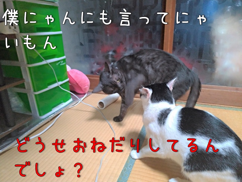f:id:Harufuku:20200914105925j:plain f:id:Harufuku:20200914105925j:plain