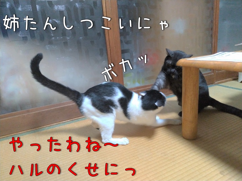 f:id:Harufuku:20200914110017j:plain f:id:Harufuku:20200914110017j:plain