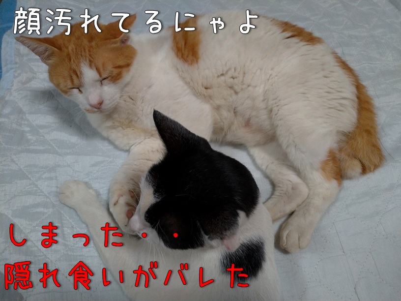 f:id:Harufuku:20200917111917j:plain f:id:Harufuku:20200917111917j:plain