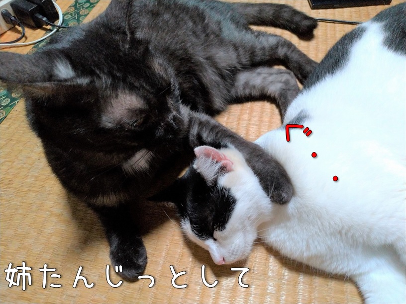 f:id:Harufuku:20200925160325j:plain