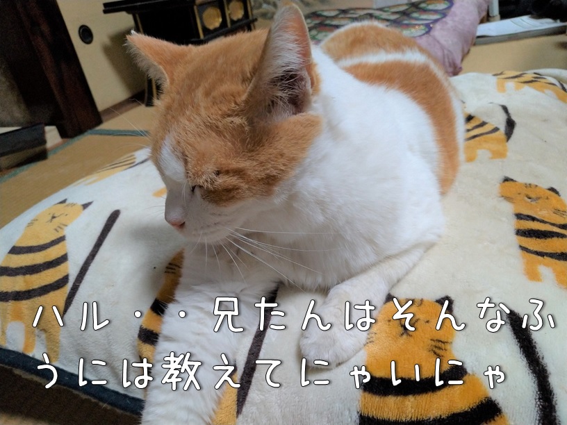 f:id:Harufuku:20200925160352j:plain