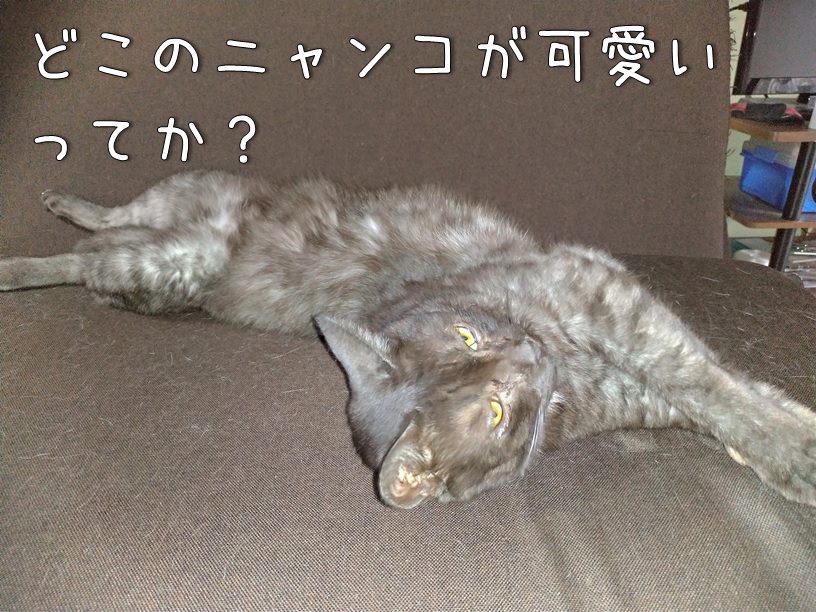 f:id:Harufuku:20200928114207j:plain f:id:Harufuku:20200928114207j:plain