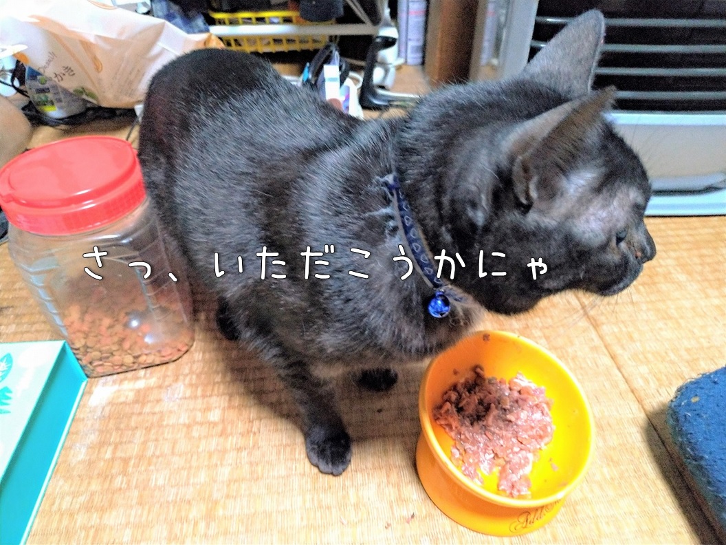 f:id:Harufuku:20201211122318j:plain