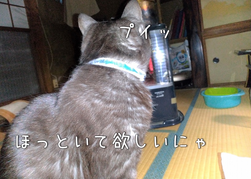 f:id:Harufuku:20210208132217j:plain