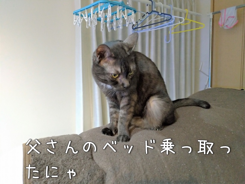 f:id:Harufuku:20210426160330j:plain