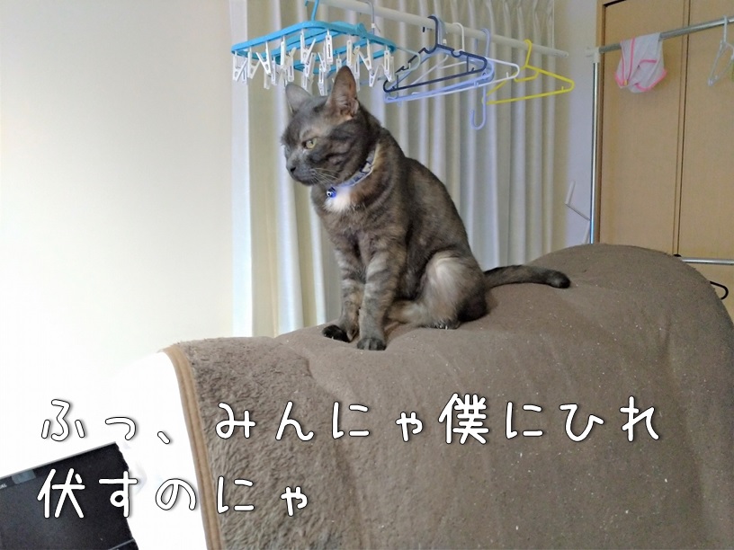 f:id:Harufuku:20210426160402j:plain