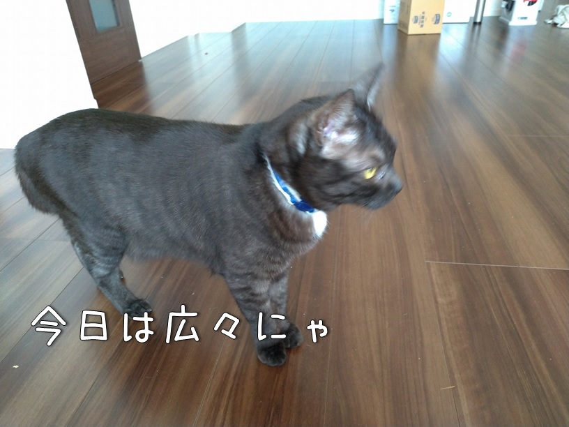 f:id:Harufuku:20210426160435j:plain