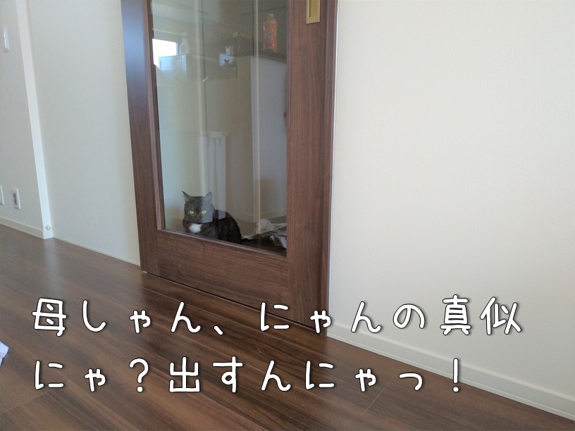f:id:Harufuku:20210426160829j:plain