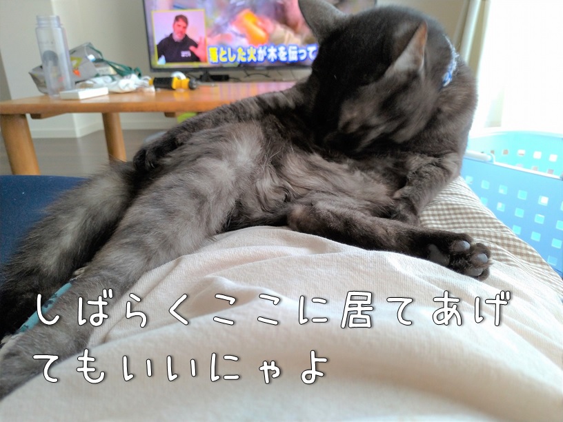 f:id:Harufuku:20210426160933j:plain