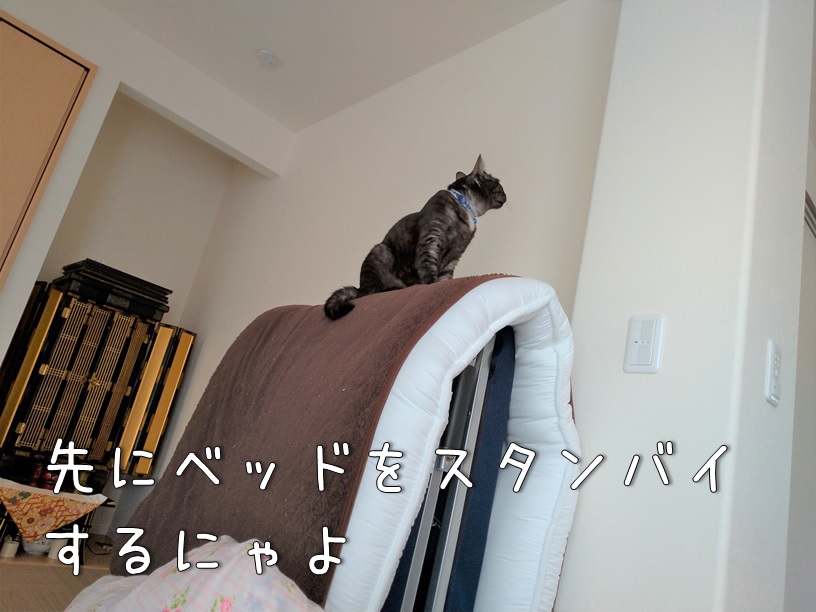 f:id:Harufuku:20210428164326j:plain