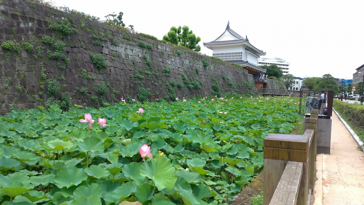 f:id:Harufuku:20210719134414j:plain