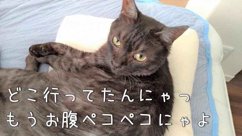 f:id:Harufuku:20210719150203j:plain