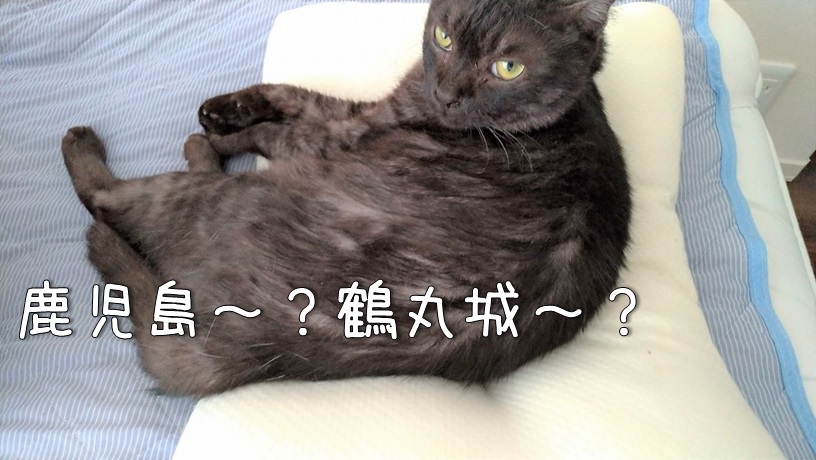 f:id:Harufuku:20210719150227j:plain