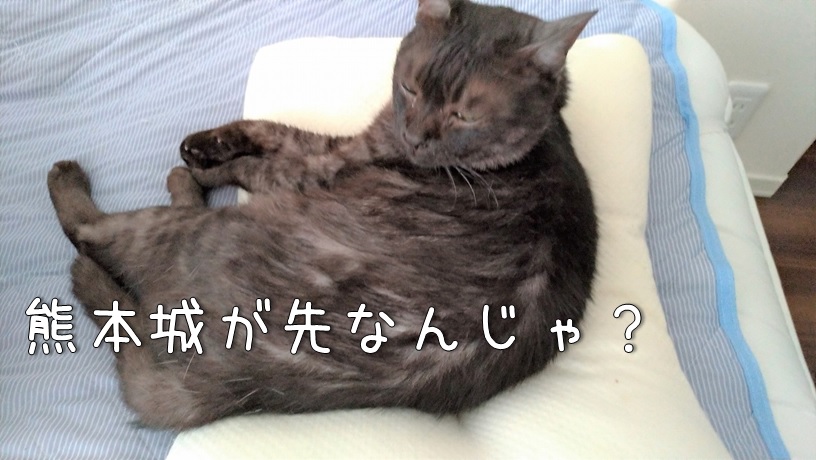 f:id:Harufuku:20210719150246j:plain