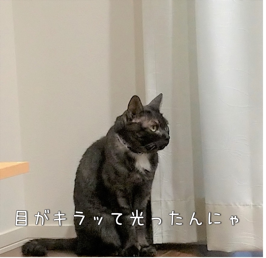 f:id:Harufuku:20210817155937j:plain