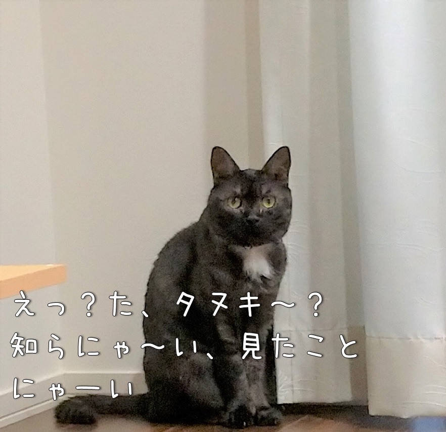 f:id:Harufuku:20210817160155j:plain