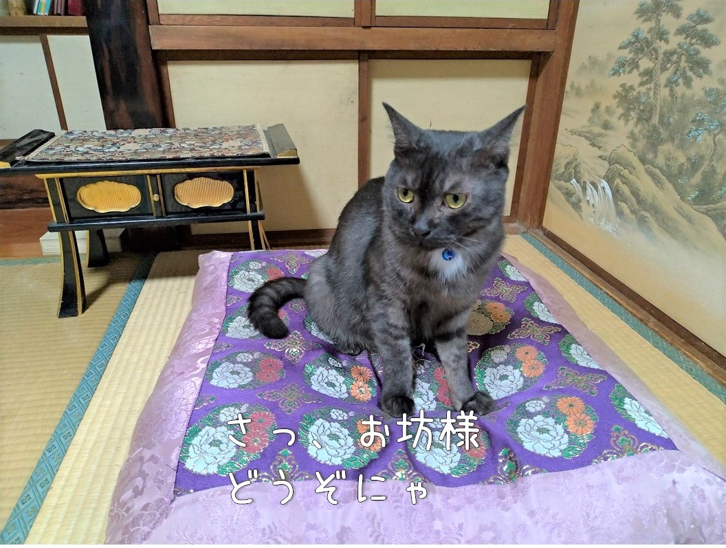f:id:Harufuku:20210818173508j:plain