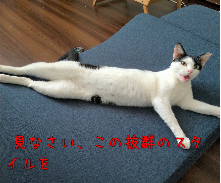 f:id:Harufuku:20210824154253j:plain