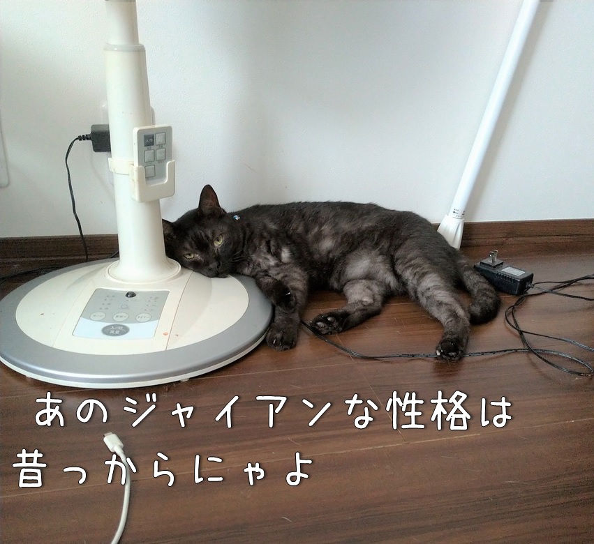 f:id:Harufuku:20210824154653j:plain