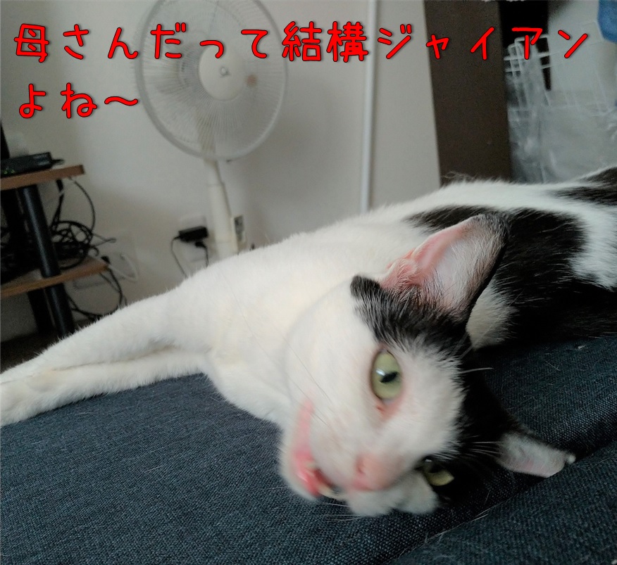 f:id:Harufuku:20210824161008j:plain