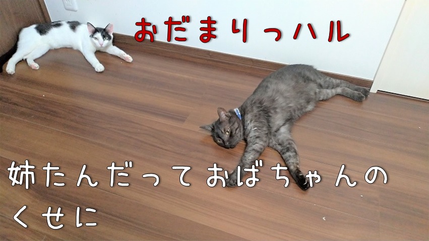 f:id:Harufuku:20210826173612j:plain