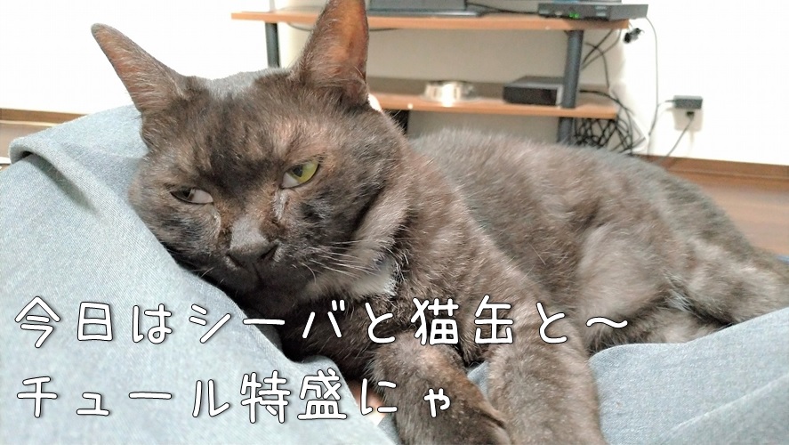 f:id:Harufuku:20210826173648j:plain
