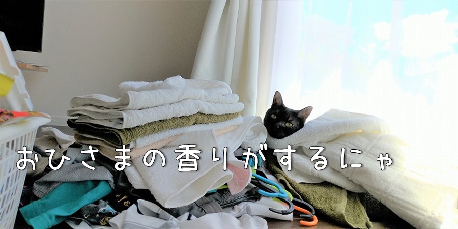 f:id:Harufuku:20210831151316j:plain