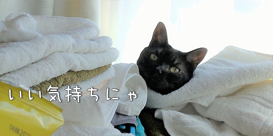 f:id:Harufuku:20210831151501j:plain
